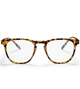 очки  Zebbe Leopard очки <br>для компьютера  фото 2