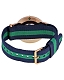 D. Wellington Classic Warwick 0105DW