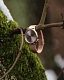 Komono Estelle Royale Rose Gold Grey
