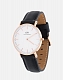D. Wellington Classic Sheffield Lady 0508DW