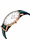 D. Wellington Classic Warwick 0105DW