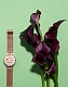 Eone Bradley Bradley Mesh Rose Gold