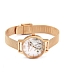 Olivia Burton ILLUSTRATED CAT OB16WL76