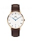 D. Wellington Dapper Bristol DW00100094