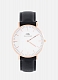D. Wellington Classic Sheffield Lady 0508DW