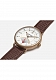 Plan Watches Genoa Bronzo