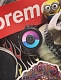 Ziiiro Proton Black Purple
