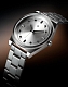 AÃRK Logo Silver