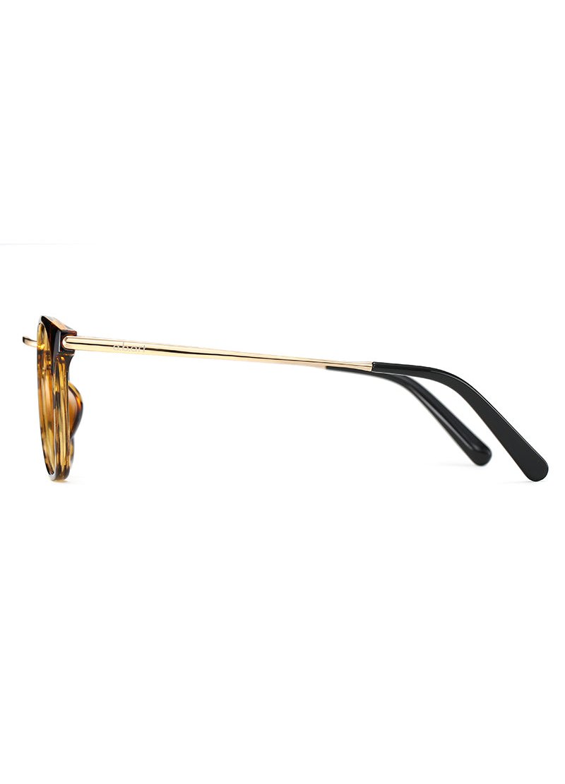 A.B. art a.b.art Nostalgic Shades Tortoise