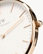 D. Wellington Classic Reading DW00100041