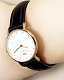 D. Wellington Classy Sheffield Petite 0901DW