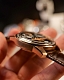 OBLVLO JOKER ROSE GOLD AUTOMATIC
