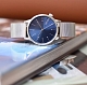 Komono Winston Royale Silver Blue