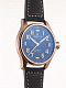 WOW-Цена Alpina Startimer Pilot Automatic
