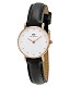 D. Wellington Classy Sheffield Petite 0901DW