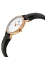 D. Wellington Classy Sheffield Petite 0901DW