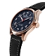 WOW-Цена Alpina Startimer Pilot Automatic