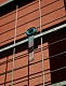 Ziiiro SOLARIS Gunmetal / Chill